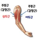 슈퍼바디 짐 이미지
