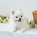 스튜디오브릿 이미지