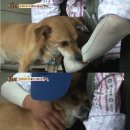 똘이농장 이미지