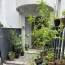 카페에서북토크 이미지