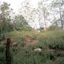 의령 가막산 봉수대 이미지