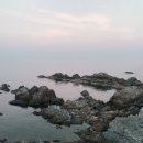 신평홍두