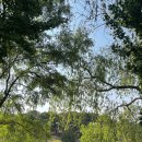 서구 구민운동장 입구 이미지