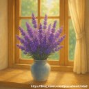 라벤다공인중개사사무소 이미지