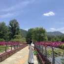 금강로 | 초여름 가평, 춘천여행 2박 3일 코스(15개월 아기와 함께한)