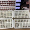 지니스안경 포항초곡삼구앞점 이미지