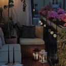 안경정원 이미지