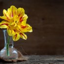 나도 플로리스트 이미지