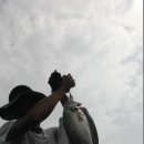 장고도8 이미지