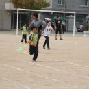 주례초등학교 이미지