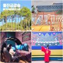 금강송테마전시관 | 울진 가볼만한곳 울진 금강송 소나무숲길 에코리움 테마전시관