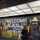 르베르제 | 이직 기념으로 떠난 인생 첫 제주 여행기