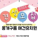 몽개구름 애견유치원 네이버블로그