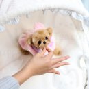 프리미엄 켄넬 이미지