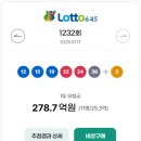 로또빙고 | 로또 1233회 당첨번호, 랜덤 번호 추첨기 사이트를 만들다!
