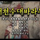 천수바라작법(千手波羅作法) 전체동작 범패연구소 이미지