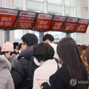 제주동동 이미지
