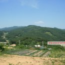 원창리(상)