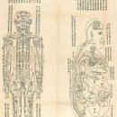 인체경락도 총목록 원문 한글- 정리중 *내경도 이미지