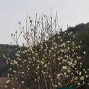 경인무예원 이미지