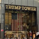 캐비어동물병원 | 🇺🇸 I 🍎NY,🗽