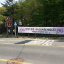 샘재로 3 이미지