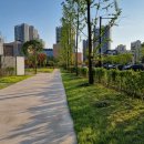 고덕초등학교 건너편 이미지