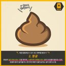 황금복권 | 복권운 터지는 꿈 베스트10 (해몽, 당첨, 행운)