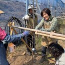 수원시농업기술센터 | 수원시 농업기술센터, ‘과수공원 가디언즈’ 도시농업 시민봉사단 운영
