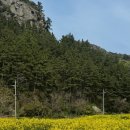 남양초등학교태하분교장 이미지