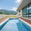 로터스711 이미지