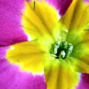 청구상가 이미지