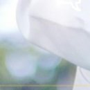 바로내과의원 이미지