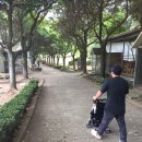 오성카랜드 이미지