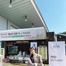 서지혜 카카오 검색결과