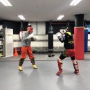 KH 킥복싱 합기도 체육관 이미지