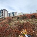 서홍동-2 이미지