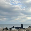 지에스25 제주섭지코지점 | 섭지코지 휘닉스아일랜드 플로이스트 | 안도 타다오가 설계한 제주 뷰 카페