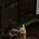 도훈농장 이미지