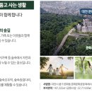 대전스포츠실내골프연습장 이미지