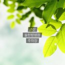 솔한방병원 이미지