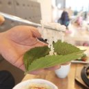 해송칠암붕장어 이미지