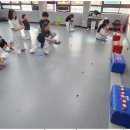 참사랑태권도 이미지