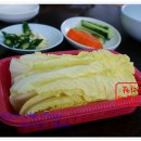 왕벌식당 - 장흥군 | 왕벌식당