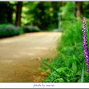 새암공원 이미지