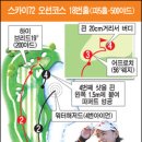 슈퍼스타분식 이미지