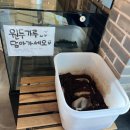 [서오릉 카페 추천] 유기농 베이커리 맛집, 서오릉제빵소 브런치 후기