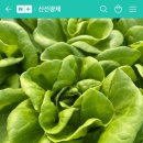 광채농장 이미지