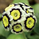 반포삼정공인중개사사무소 이미지