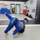 합기도 을지관 총본관 이미지